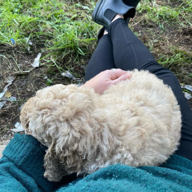 Hanging with Buddy